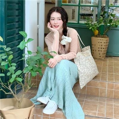 笼子在寻找小鸟